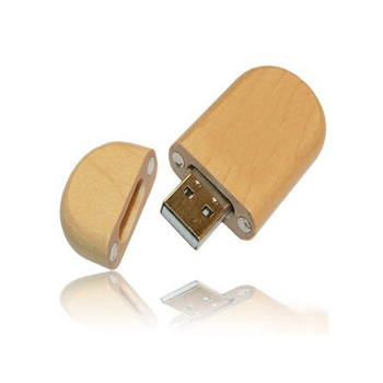USB Flash Drive 2G