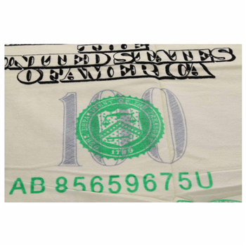 Dollar Beach Towel