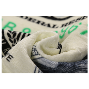 Dollar Beach Towel