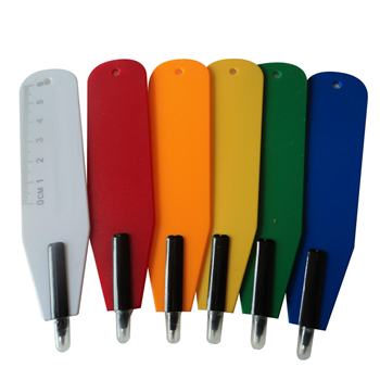 Multifunctional Ruler Ballpen