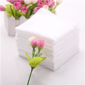  Mini Compressed Towel