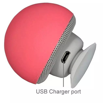 Mini Bluetooth Speaker