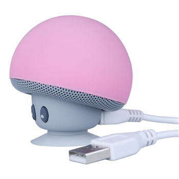 Mini Bluetooth Speaker