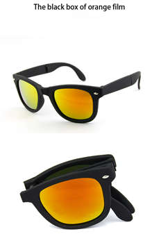 Folding Sunglasses
