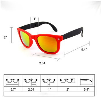 Folding Sunglasses