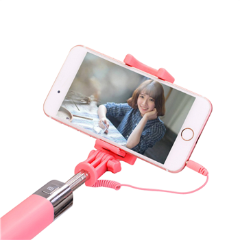Selfie Stick
