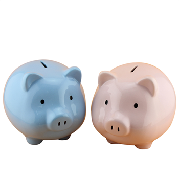 Ceramic Piggy Bank