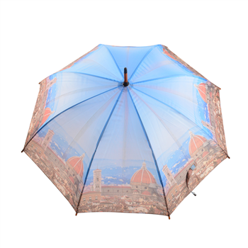 Auto open Umbrella with Wood Handle