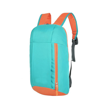 Travel Backpack