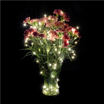 Micro LED Fairy Light String