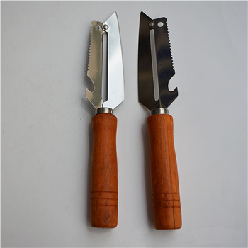 Kitchen Use Peeler