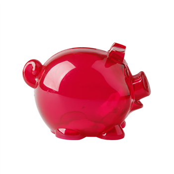 Plastic Piggy Bank