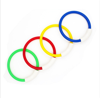 Pool Toy Dive Rings