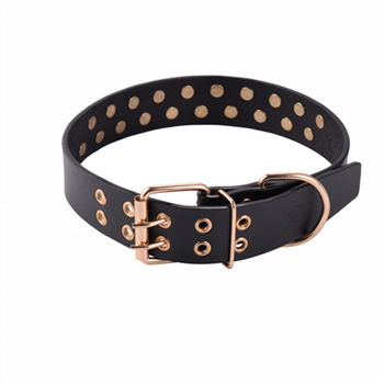 Rivet Dog Collar