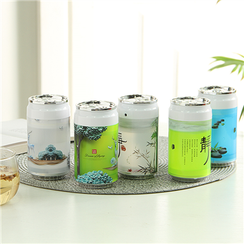 Can Shaped Desktop USB Humidifier