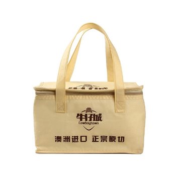 No-woven Cooler Lunch Bag