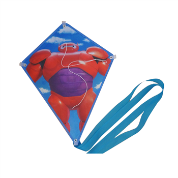 Kite