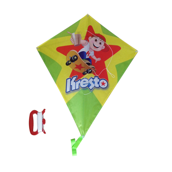Kite