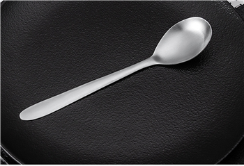 304 Stainless Steel Spoon 