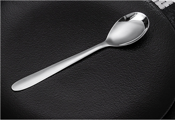 304 Stainless Steel Spoon 