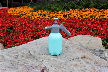 Pneumatic Spray Bottle 