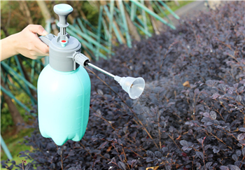 Pneumatic Spray Bottle 