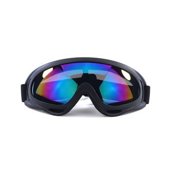 Ski Goggles