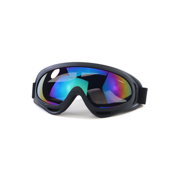 Ski Goggles