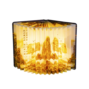 Notebook Shape USB Table /Night Light