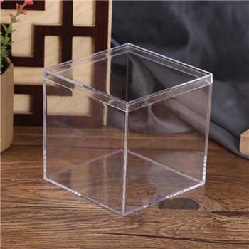 All Purpose plastic  Keepsake Box 