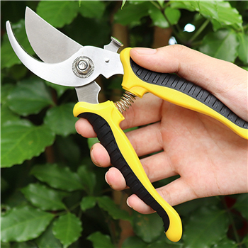 Gardening Beak Scissors