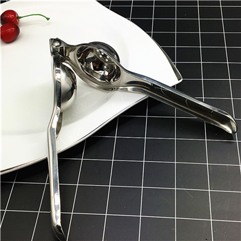 Stainless Steel Juice Squeezer