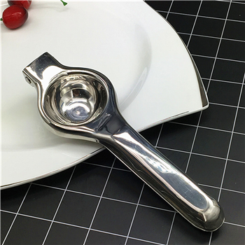Stainless Steel Juice Squeezer