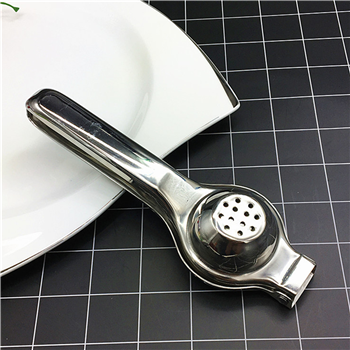 Stainless Steel Juice Squeezer