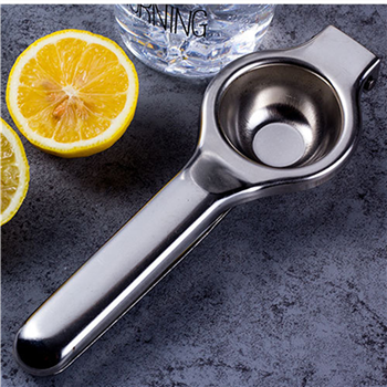 Stainless Steel Juice Squeezer