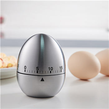 Stainless Steel Timer