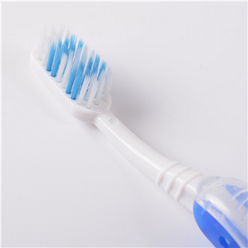 Travel Toothbrush In Folding Case
