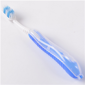 Travel Toothbrush In Folding Case