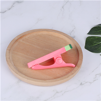 Watermelon Shaped Beach Towel Clips