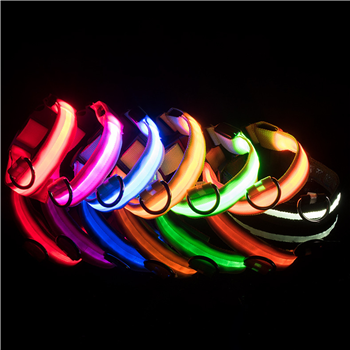 Pet Luminous Leash