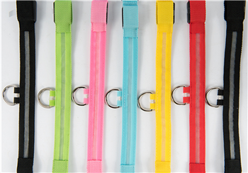 Pet Luminous Leash