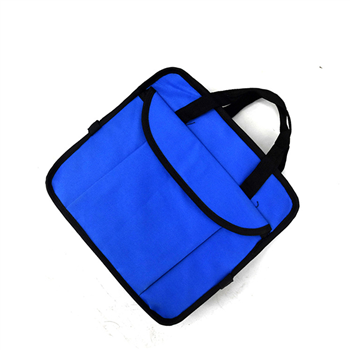 Folding Organizer With Cooler Bag