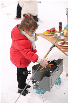 Strong Power Foldable Camping Stove
