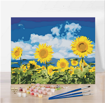 DIY Oil Painting By Numbers Kit