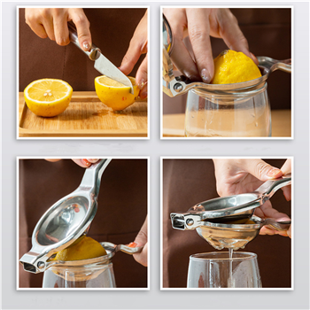 Stainless Steel Manual Lemon Clip