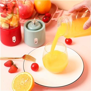 Portable Juicer