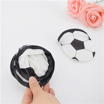 10'' Folding Nylon Flyer Frisbee Disc With Pouch