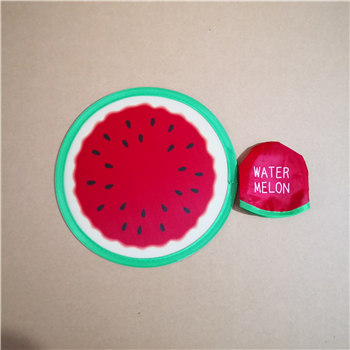 8'' Folding Nylon Flyer Frisbee Disc With Pouch