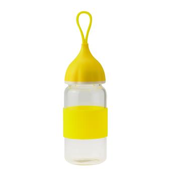 Glass Water Bottle