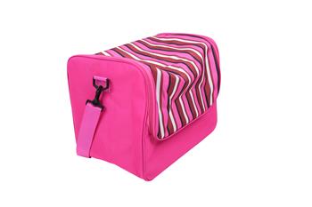 Cooler Bag